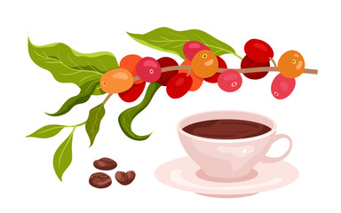 Cartoon isolated healthy morning drink with coffee plant from plantation and brown seeds on plate. Coffee cup and natural twig with red ripe berry fruit, leaf and roasted grain vector illustration