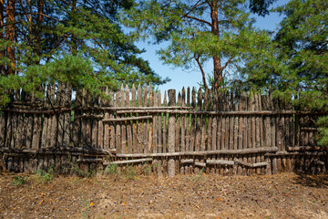 Fototapeta na wymiar Old wooden fence and coniferous trees against the blue sky in the forest