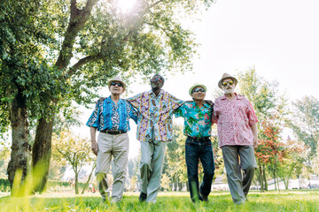 Fototapeta premium group of senior friends playing at the park