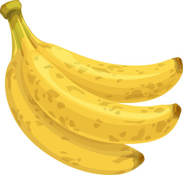 Overripe banana fruits bunch, cartoon vector plant