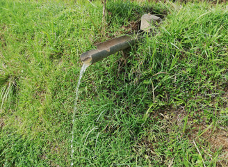 Small irrigation system at the rice