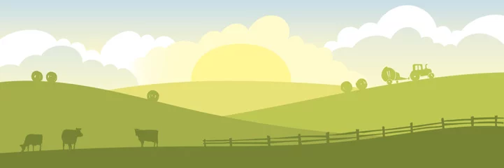Foto op Canvas Abstract rural landscape with cows and tractor. Vector illustration, fields and meadows, fodder harvesting © imagination13