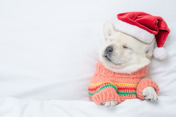 Funny Golden retriever puppy wearing red santa's hat sleeps under warm blanket on a bed at home. Top down view. Empty space for text
