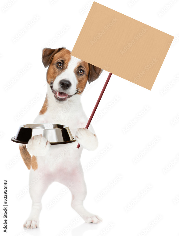 Poster jack russell terrier puppy holds empty bowl and shows empty placard. isolated on white background