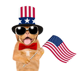 Happy Mastiff puppy wearing like Uncle Sam holds USA flag. isolated on white background