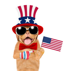 Happy Mastiff puppy wearing like Uncle Sam points on USA flag. isolated on white background