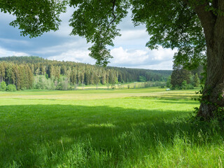 Obraz premium Black forest, Germany - May 28th 2022: View over a wide valley towards a coniferous forest