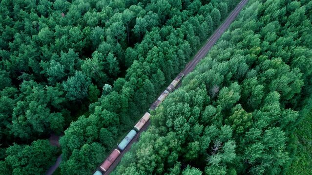 Top view of a moving train in the forest. A freight train is traveling on rails.
