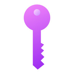 Key Icon