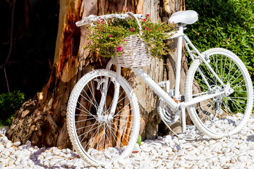 Fototapeta na wymiar Decorative white bicycle with basket of pink flowers near the tree