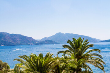 Fototapeta na wymiar Palm trees, mountains, sea. Landscape background