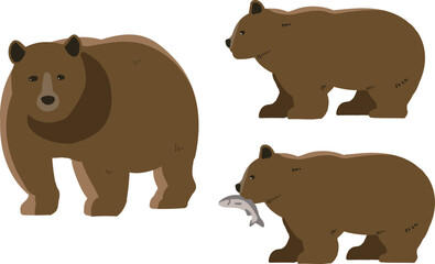 ヒグマ　線無し