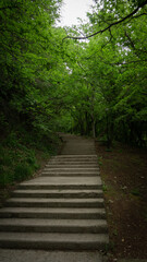 Fototapeta premium Stone steps in a green park. Staircase in the city of Lazarevskoe, Sochi, Russia