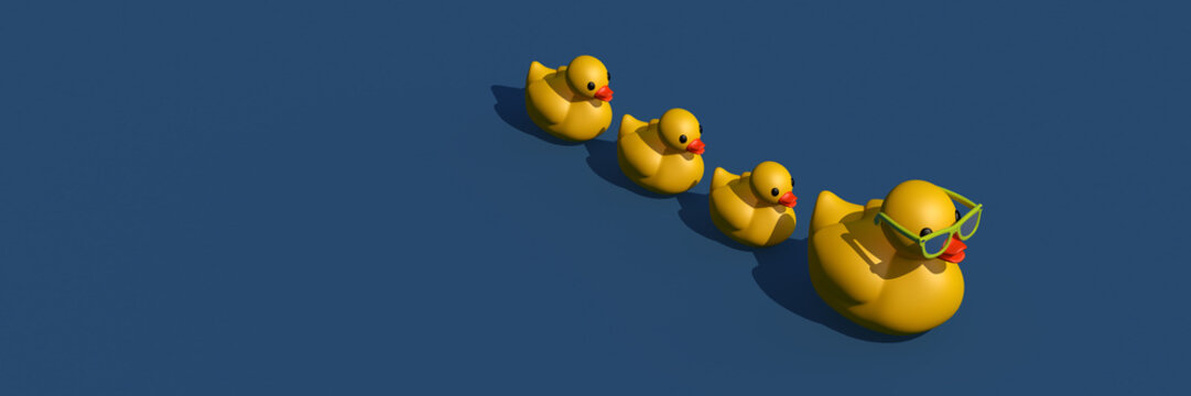 Rubber ducks in a row organization and leadership business concept. Widescreen 3D illustration render.

