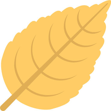 Sweet Birch Flat Icon