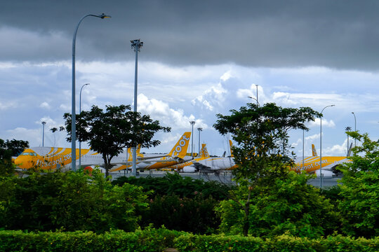 Singapore Jun 2020 During Covid-19 Coronavirus Outbreak, Scoot Planes Are Grounded On Tarmac. Some Taxiways At Changi Airport Converted Into Parking Spaces For Planes; No Travelling