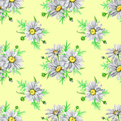 Seamless pattern flower white chamomile watercolor. Bouquet of buds and green foliage of daisy flowers. Natural background. Medical plant. Hand drawn botanical illustration. Fabric packaging design.