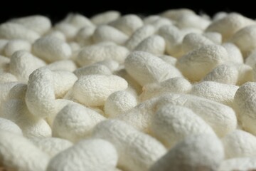 Heap of white silk cocoons, closeup view