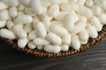 White silk cocoons in bowl on wooden table, closeup