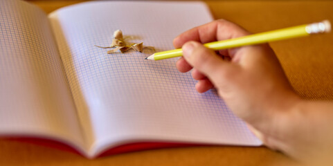 Hand h&auml;lt einen gespitzter Bleistift - Schulzeit