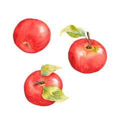 Watercolor red apples clipart set. Hand painted illustration isolated on white background. Fall kids design for poster, print, postcard