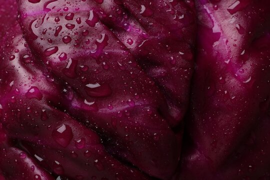 Fresh ripe red cabbage with water drops as background, closeup