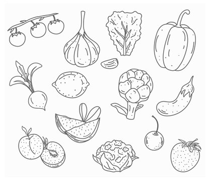 Set of fruits and vegetables in hand-drawn style. Vector stock illustration. White background. outline. isolated. Bio. Vegan. Agriculture. organic