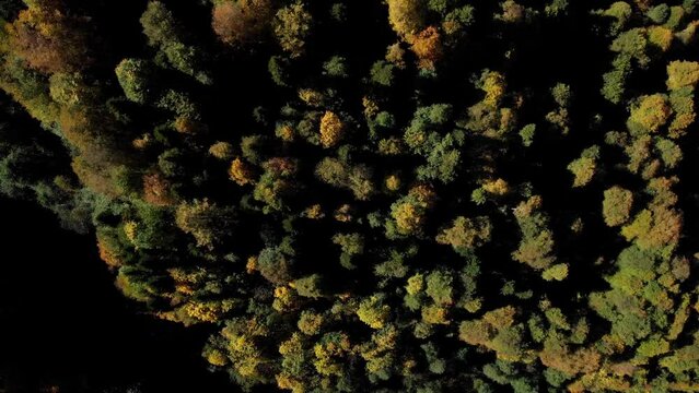 Top view on the autumn deep forest covering the ural mountains. lovely tree crowns painted in different red, orange, yellow and green colors. sunlight is falling down the tree tops.