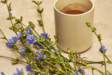 Obraz na płótnie Canvas chicory powder in a coffee mug next to chicory flowers