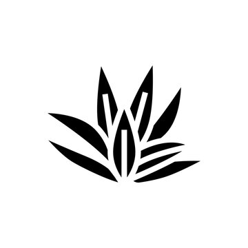 cryptocoryne wendttii glyph icon vector. cryptocoryne wendttii sign. isolated symbol illustration