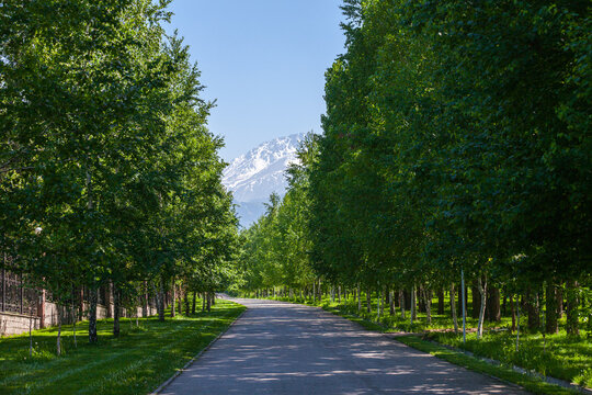 city ​​road leading to the Tien Shan mountains, Almaty, Kazakhstan