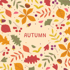 Fototapeta na wymiar Autumn. Cute funny postcard, banner with bright autumn leaves, berries, chestnuts, acorns. Autumn background. Flat cartoon style.