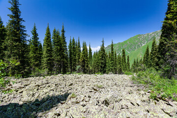 descent of stones in the picturesque gorge of Tien Shan, Almaty, Kazakhstan