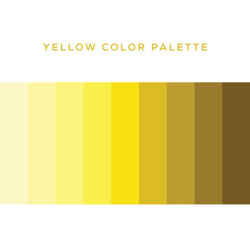 Yellow clearance colour palette