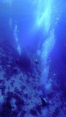 Fototapeta na wymiar The underwater world and universe of scuba divers 