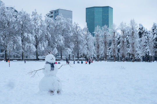 Intense snowfall in Zurich, Switzerland: A snowman in the park Josefwiese