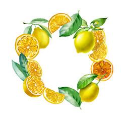 Lemon. Botanical watercolor isolated illustration.