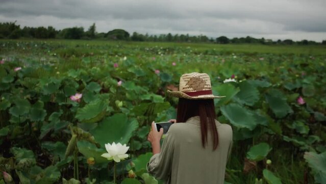 Video on the back of a woman wearing a straw hat. Having fun taking pictures of lotus flowers with a smartphone.