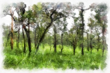 Obraz premium landscape of mountains forests trees and fog watercolor style illustration impressionist painting.