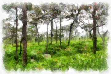 Fototapeta premium landscape of mountains forests trees and fog watercolor style illustration impressionist painting.