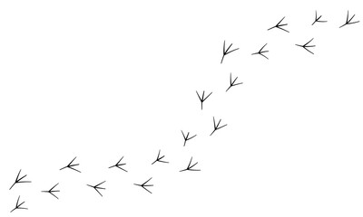 a bird's paw print