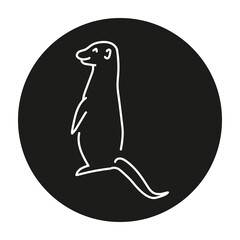 Meerkat color line illustration