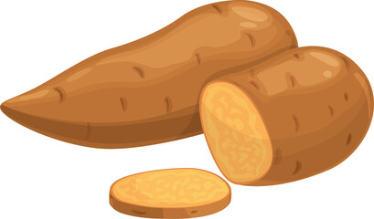 Sweet potatoes whole and cut plants, vector yam