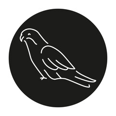 Australian parrot color line illustration. Animals of Australia