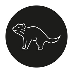 Tasmanian devil color line illustration. Animals of Australia