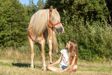 Girls and horses: Portrait of a teenager girl and her haflinger pony interacting together. A young...