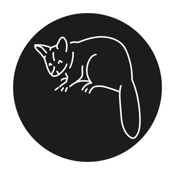 recommend clip art: Australian kuzu color line illustration. Animals of Australia