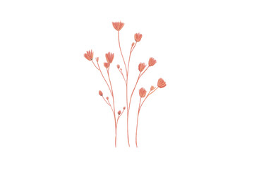 Painted Watercolor Flower isolated on white background, soft colorful style for using to artwork