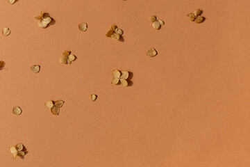 Dried autumn small hydrangea flowers on the brown background frame. Top view. Copy space