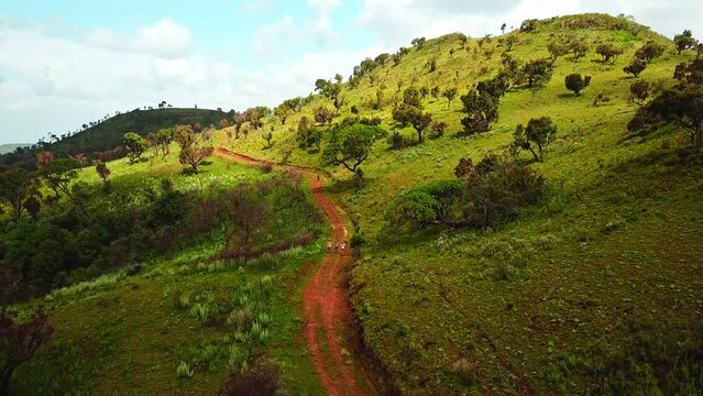 Trekking Along Mountain Hike Trails Towards Mount Elgon In Kenya, East Africa. Aerial Shot